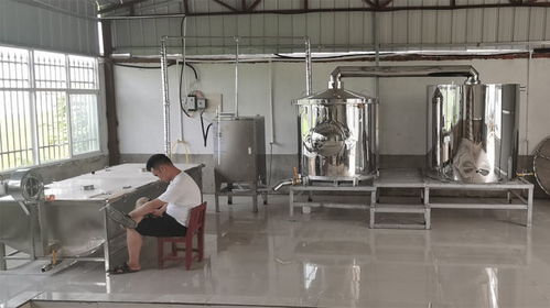 秋冬想開個(gè)小型釀酒設(shè)備酒坊,烤酒設(shè)備多少錢一套