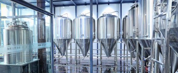 金鯊啤酒設備 匠心工藝賦能，共促釀酒行業共贏發展